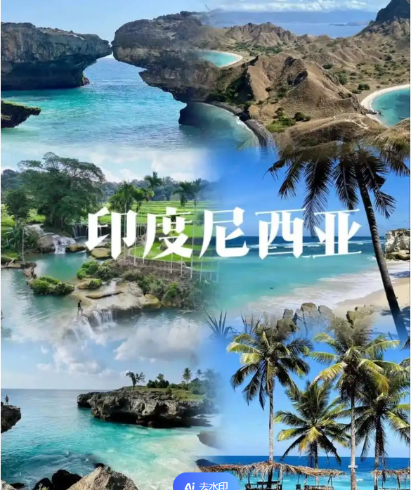 国际电商(印尼)产业博览会开元棋牌网站2025中国(图2)